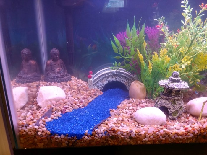 How to make small fish tank decoration