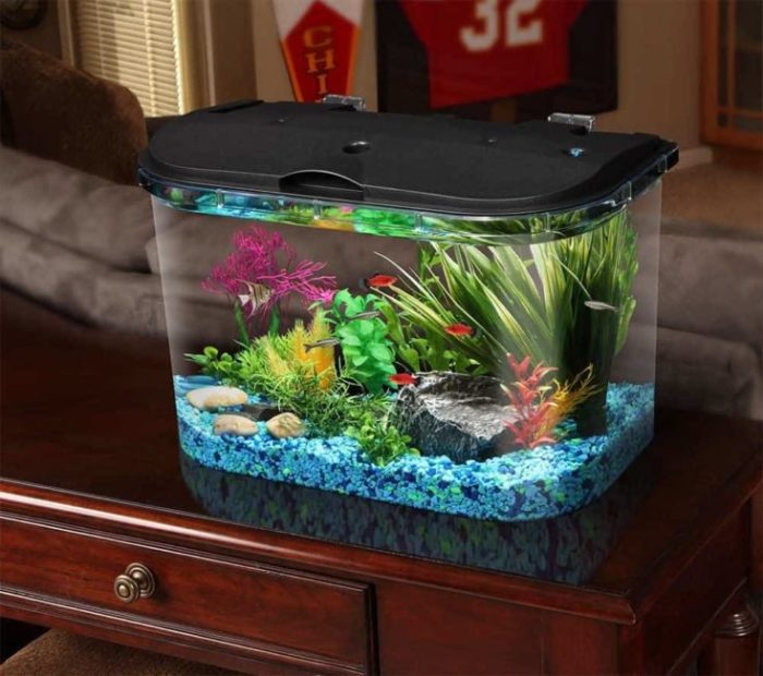 How to make small fish tank decoration